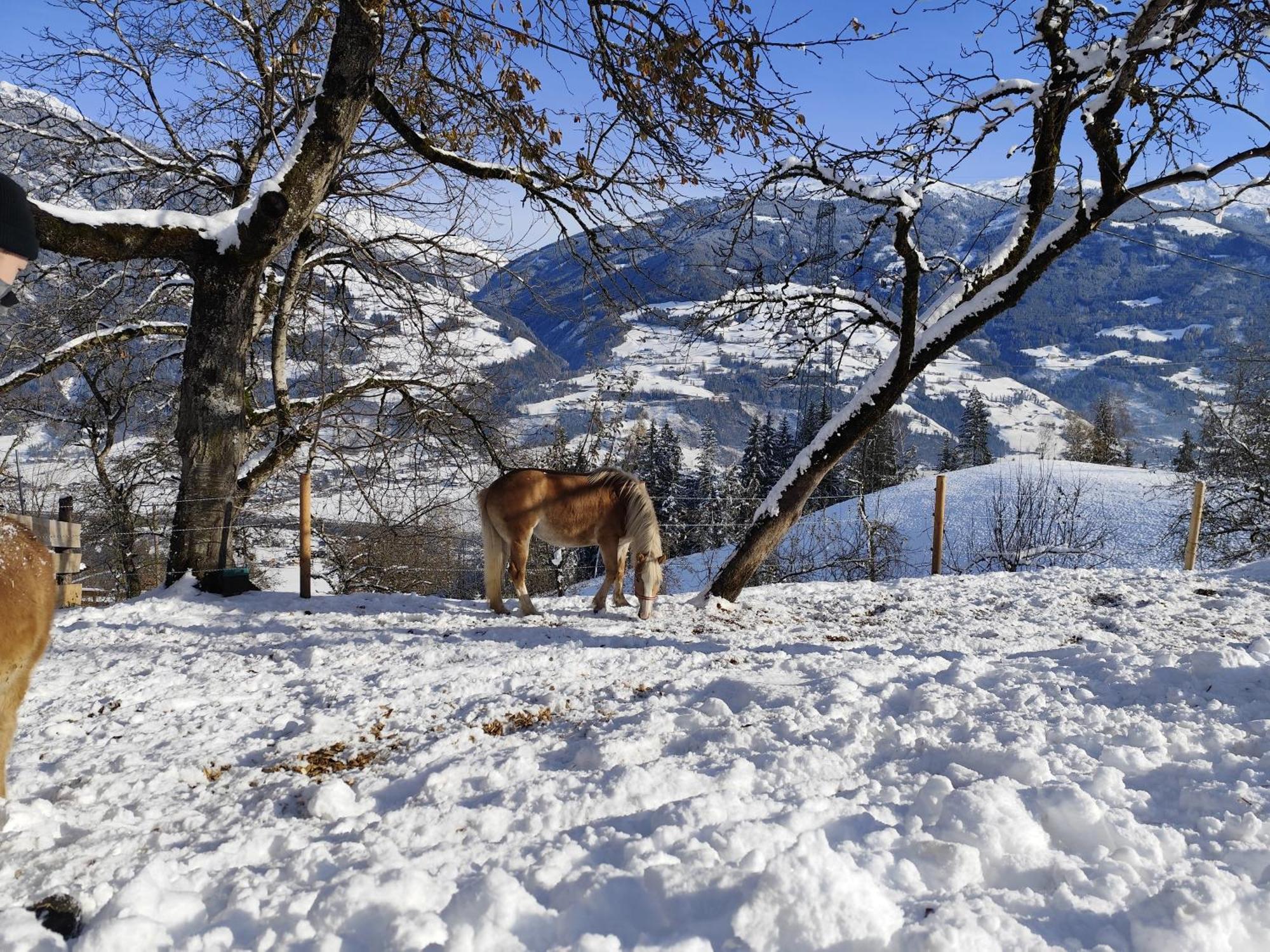 Wieshof Калтенбах Екстериор снимка